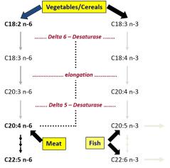 metabolomics